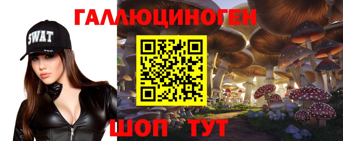 Реж  Псилоцибиновые грибы Cubensis  Вход с VPN 